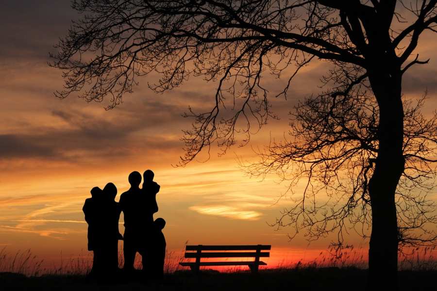 what to know before adopting a child